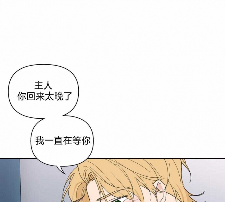 第117话36