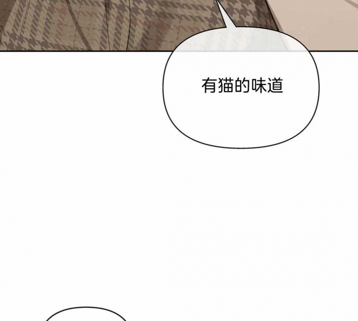 第117话42