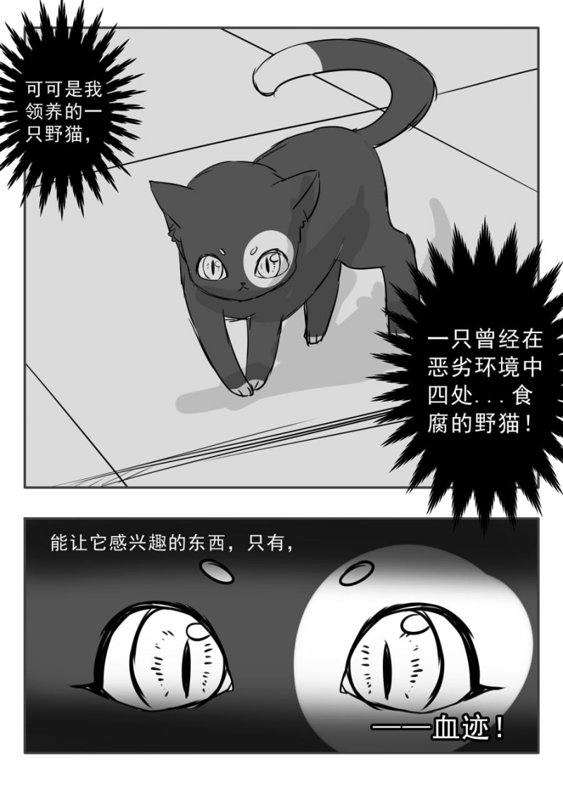 第70话5