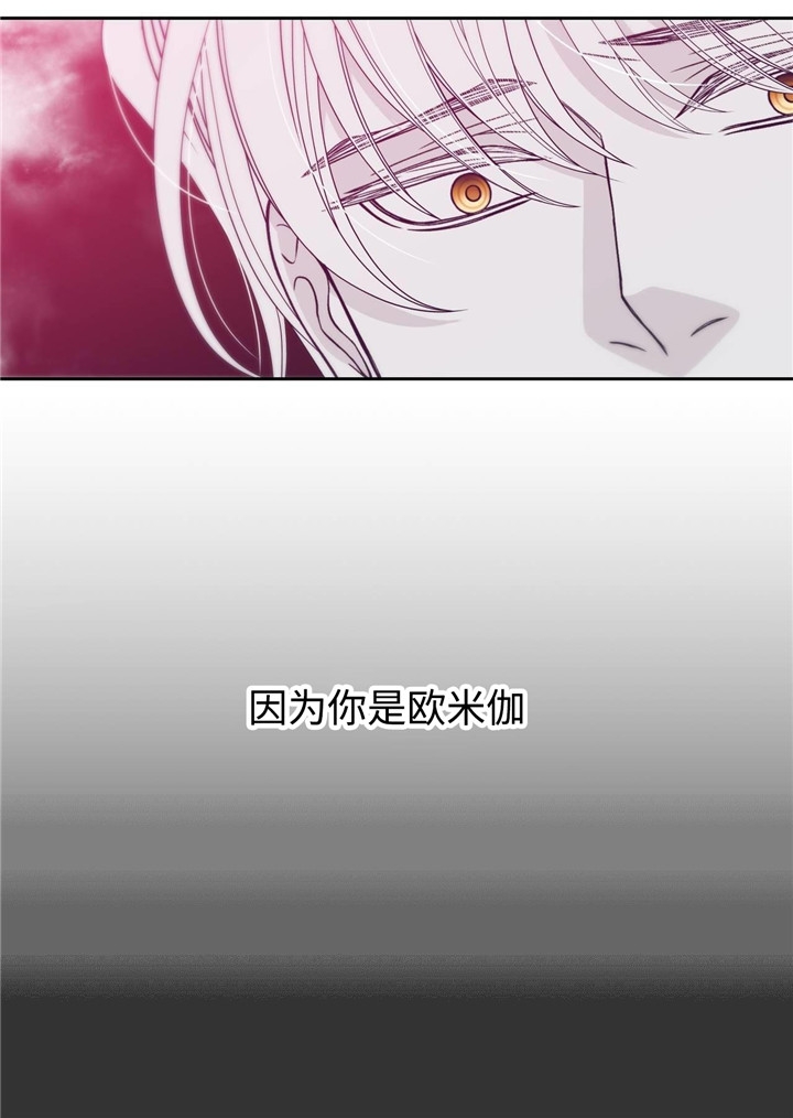 第33话5