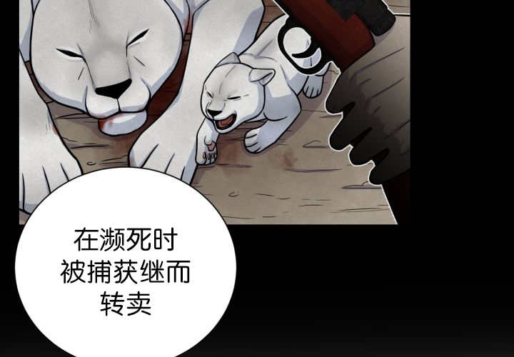 第87话12