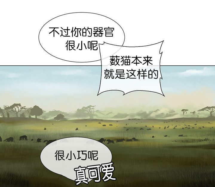 第13话12