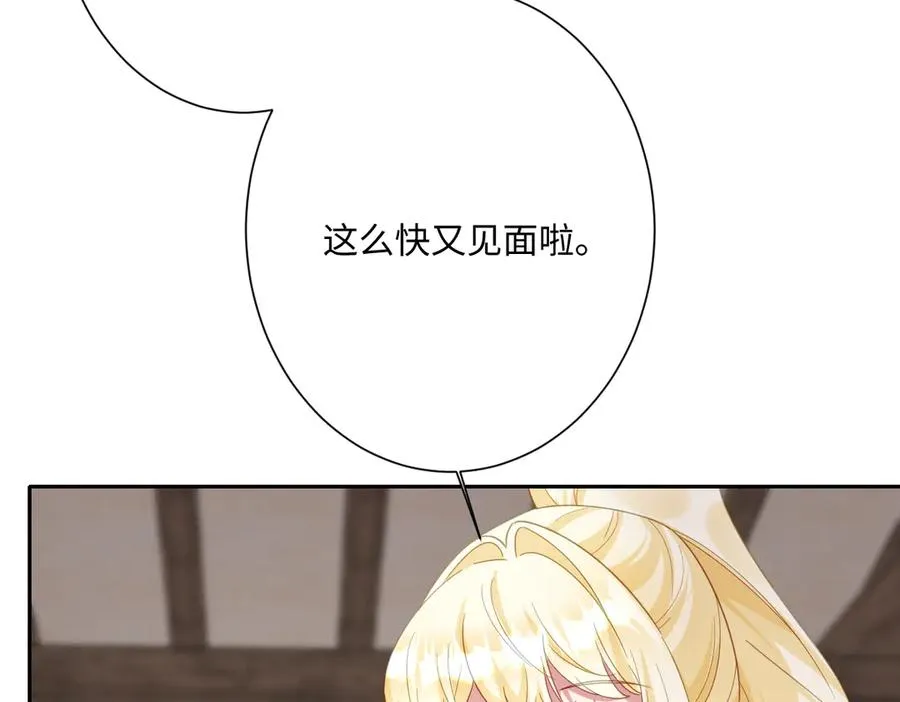 第51话 绝妙的计划2