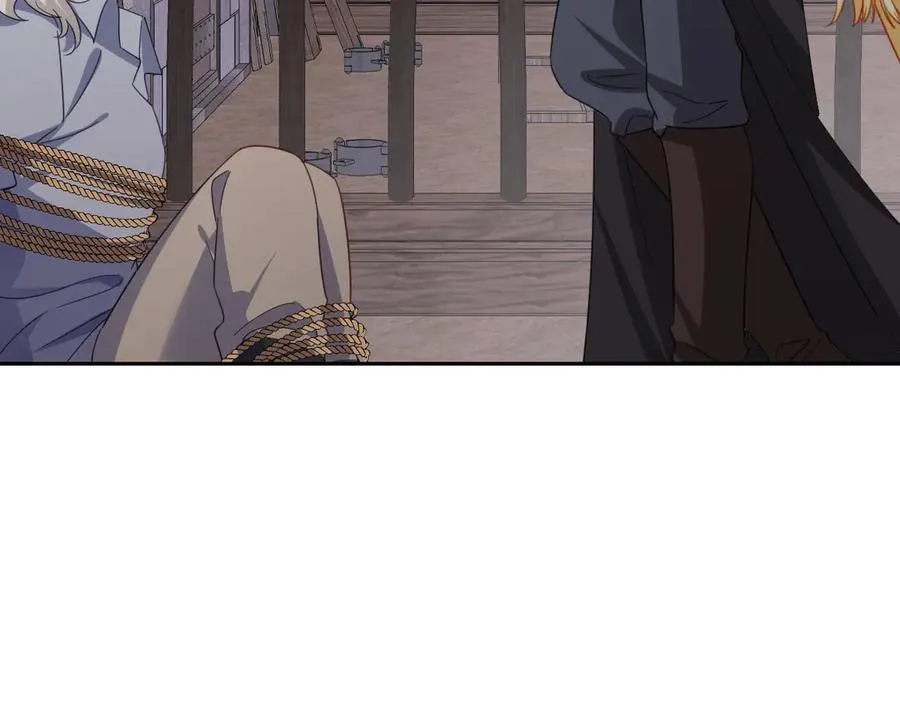 第51话 绝妙的计划15