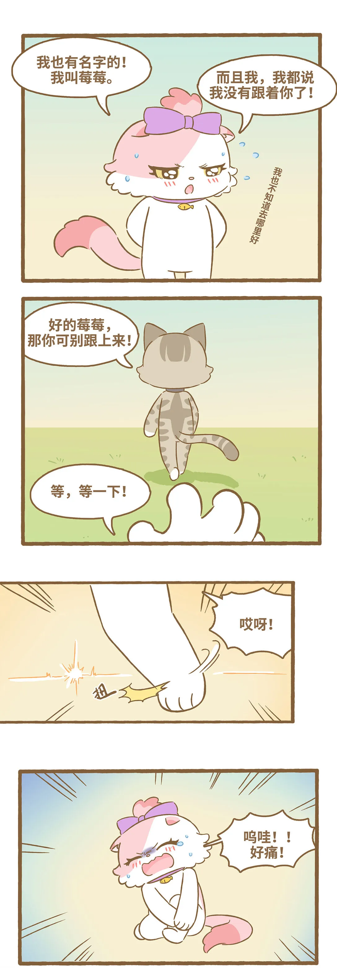 113 跟着她5