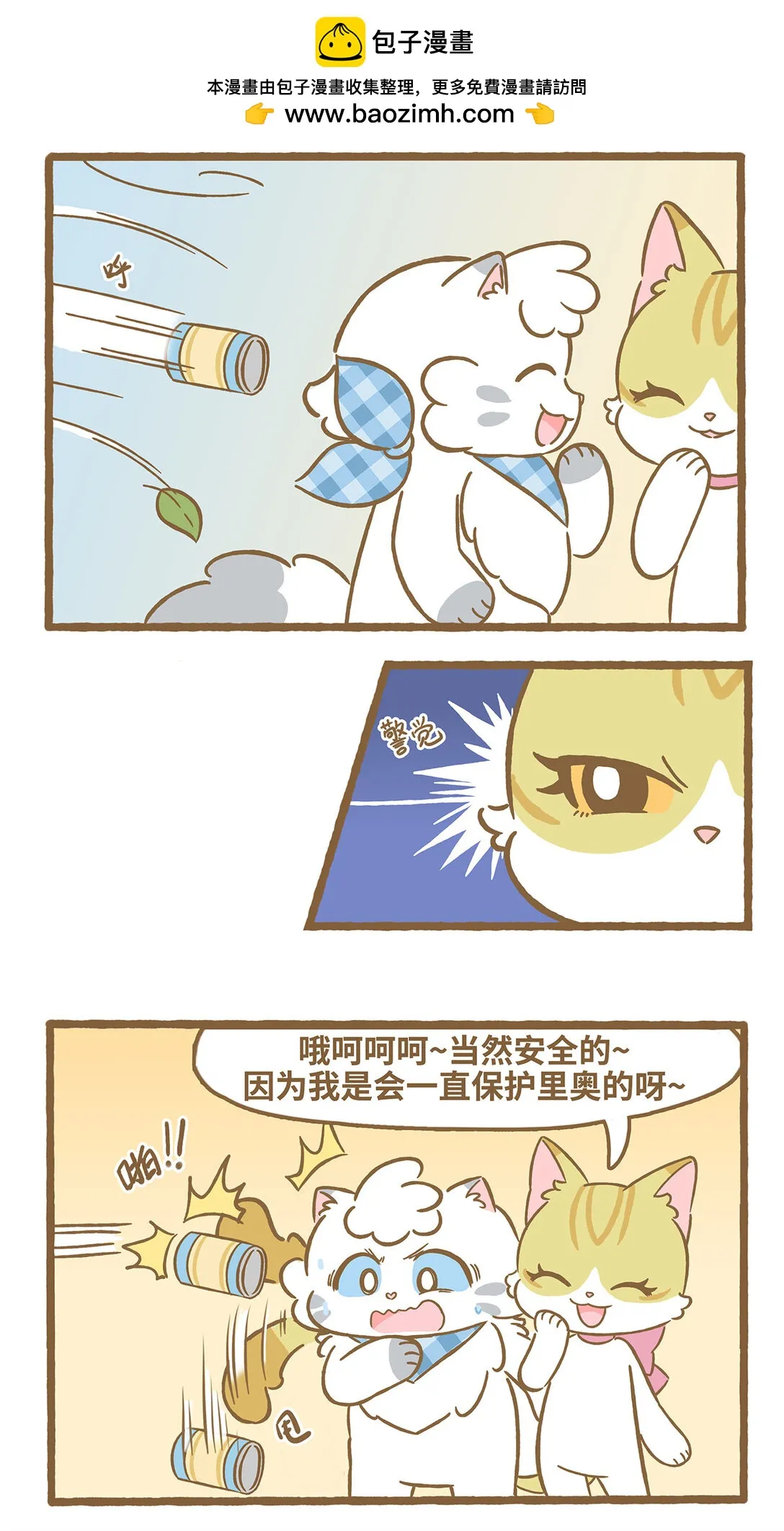 117 保护妙妙1