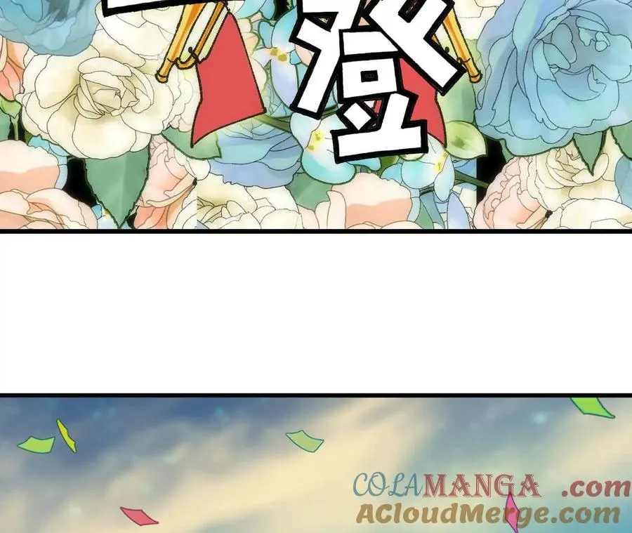 81 更新528