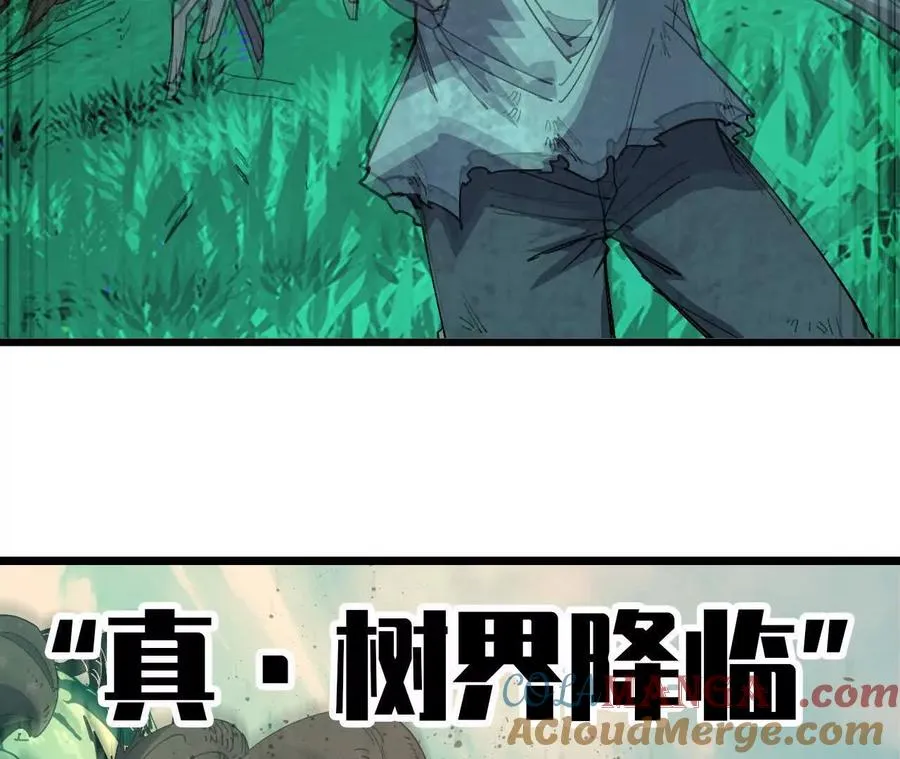 107 插枝种树88