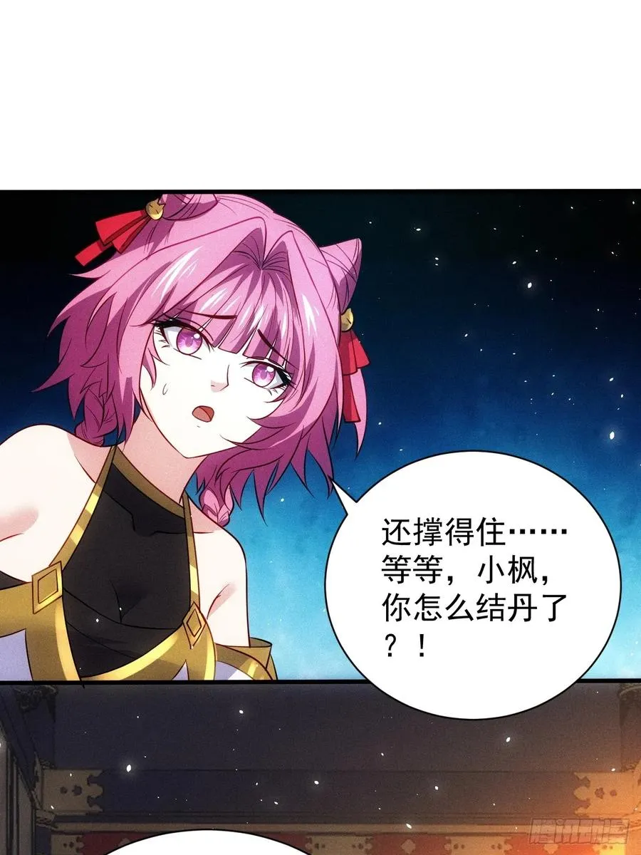 晋升金丹31