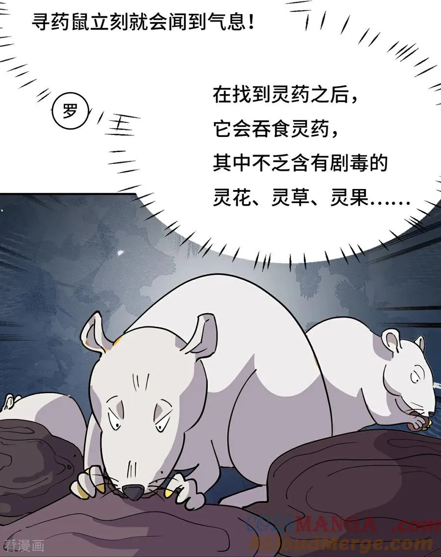 第68话 寻寻药鼠12