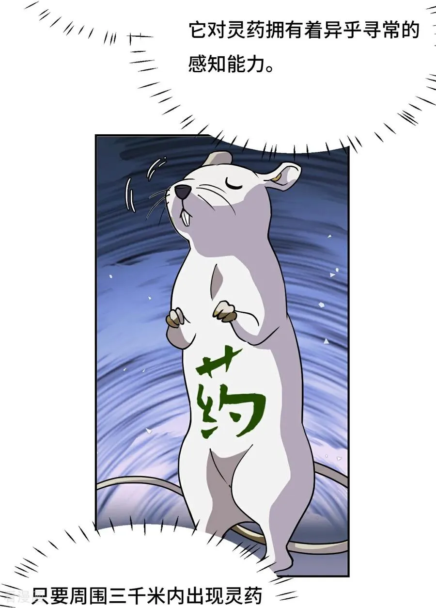 第68话 寻寻药鼠11