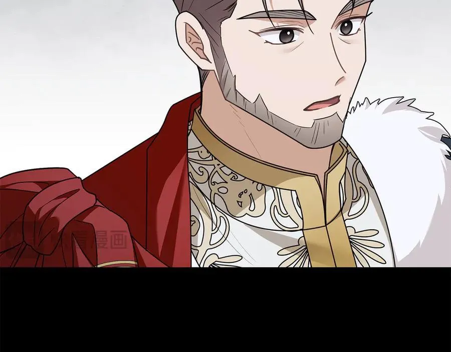第115话 陛下的认可105