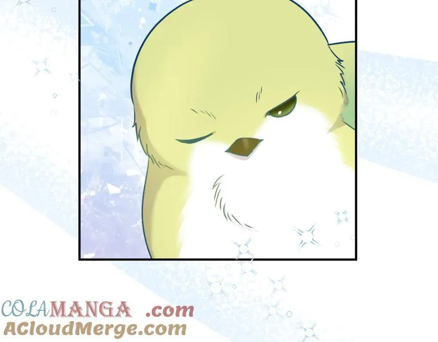 第65话 缔结契约208