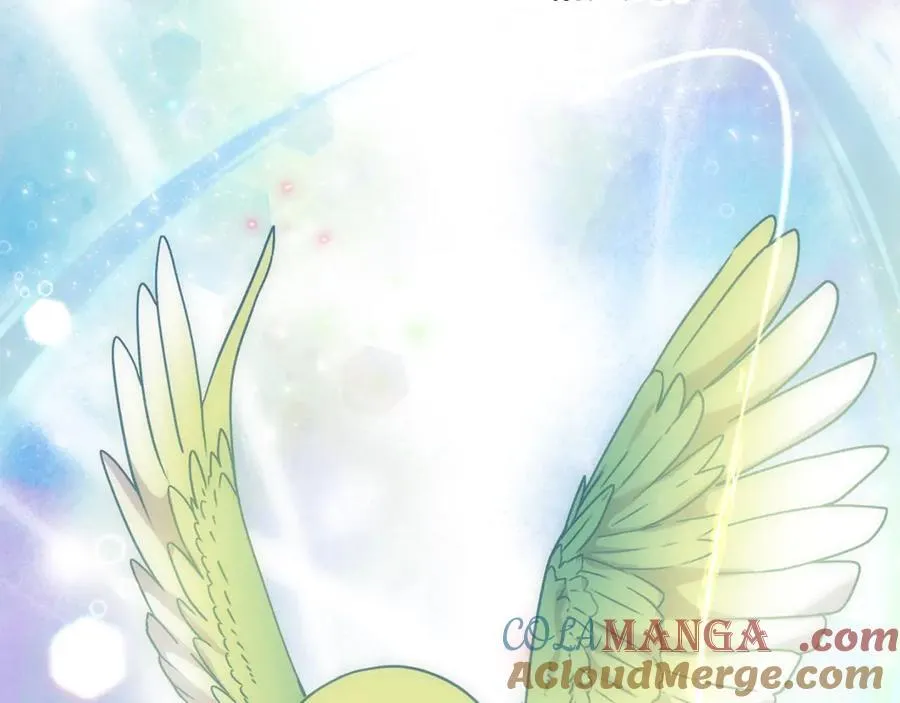 第65话 缔结契约168
