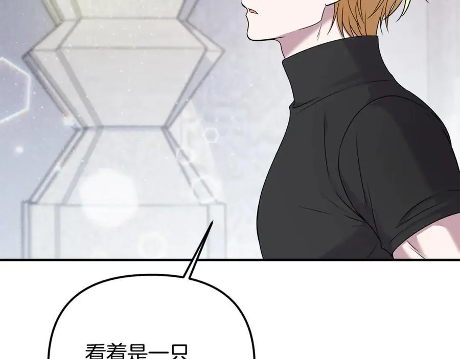 第66话 废物精灵王21
