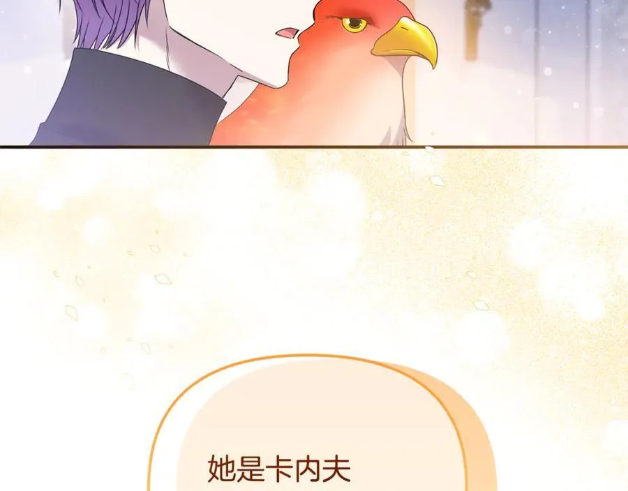第66话 废物精灵王63