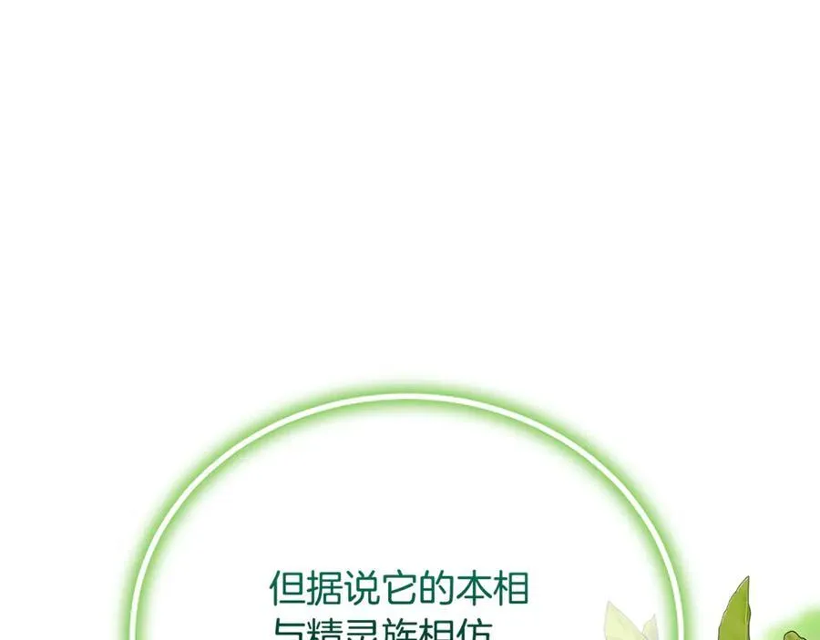 第66话 废物精灵王227