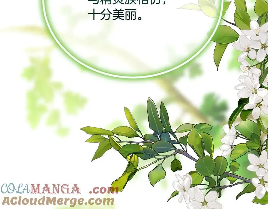 第66话 废物精灵王228