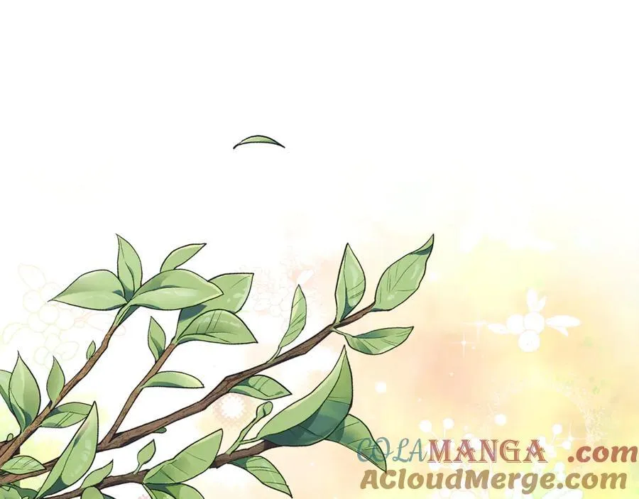 第65话 缔结契约12