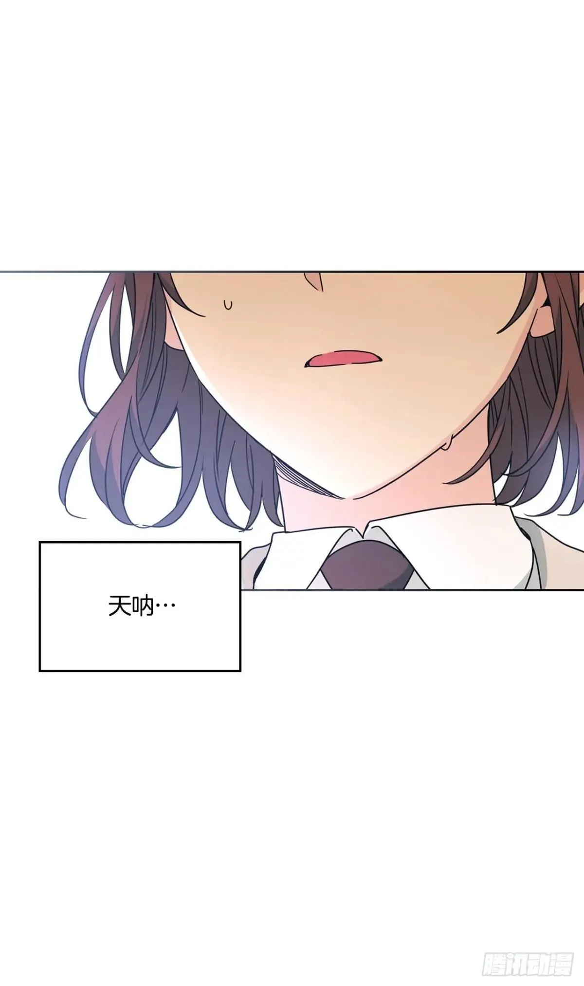219.摊牌52