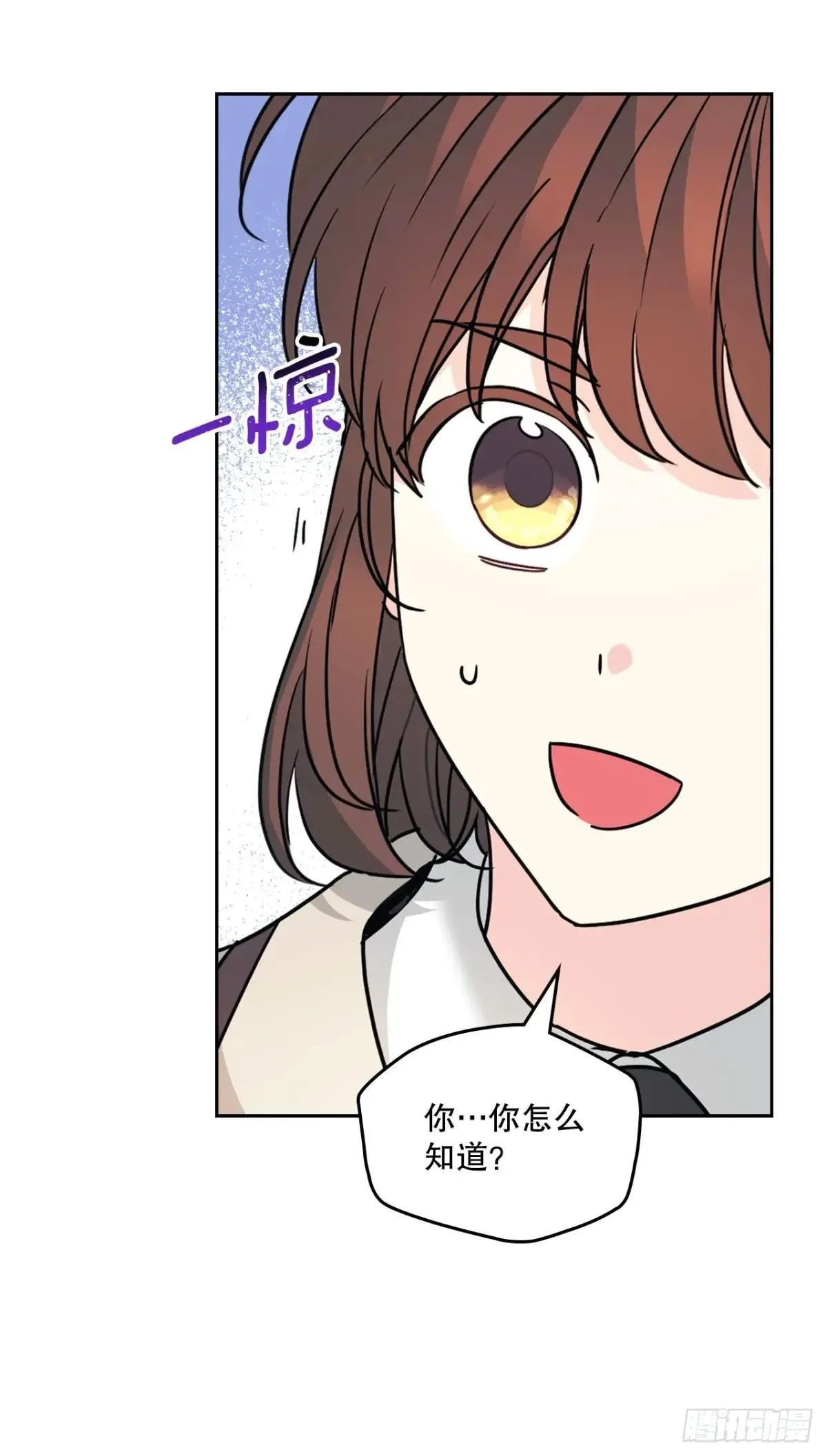219.摊牌32