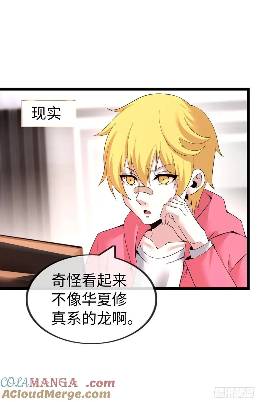 骨龙形态26