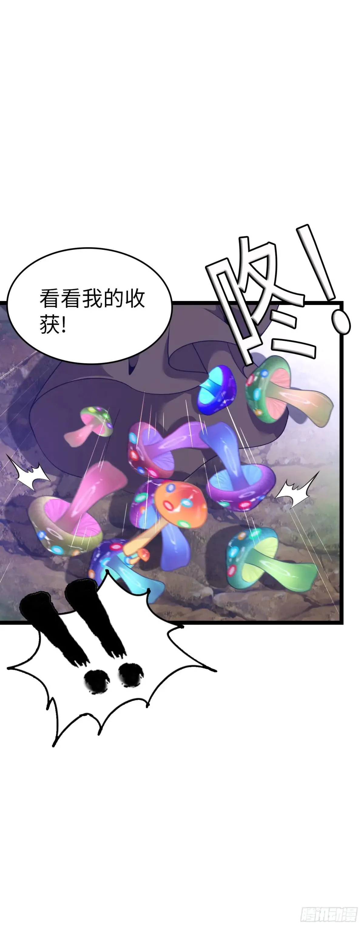 第二季开始！26