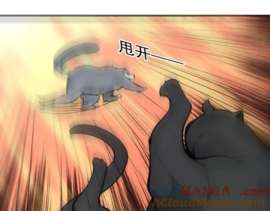 第81话 数值怪大战！84