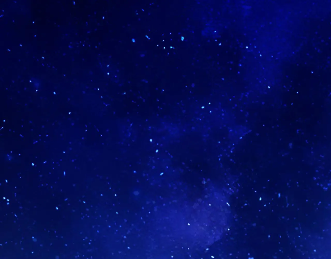 第34话 星坠74