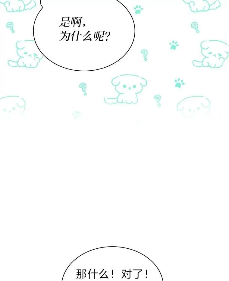 42.首次回归舞台13