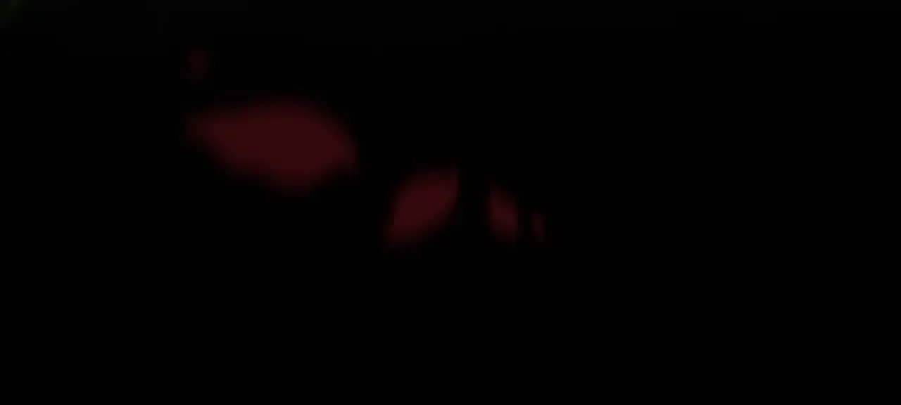 第314话 再唤佣兵！161