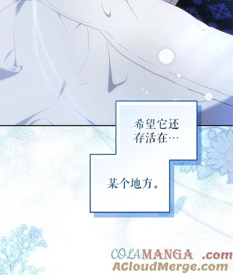 61.奇迹发生36