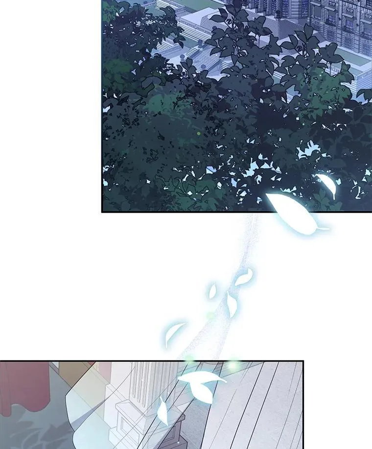 61.奇迹发生1