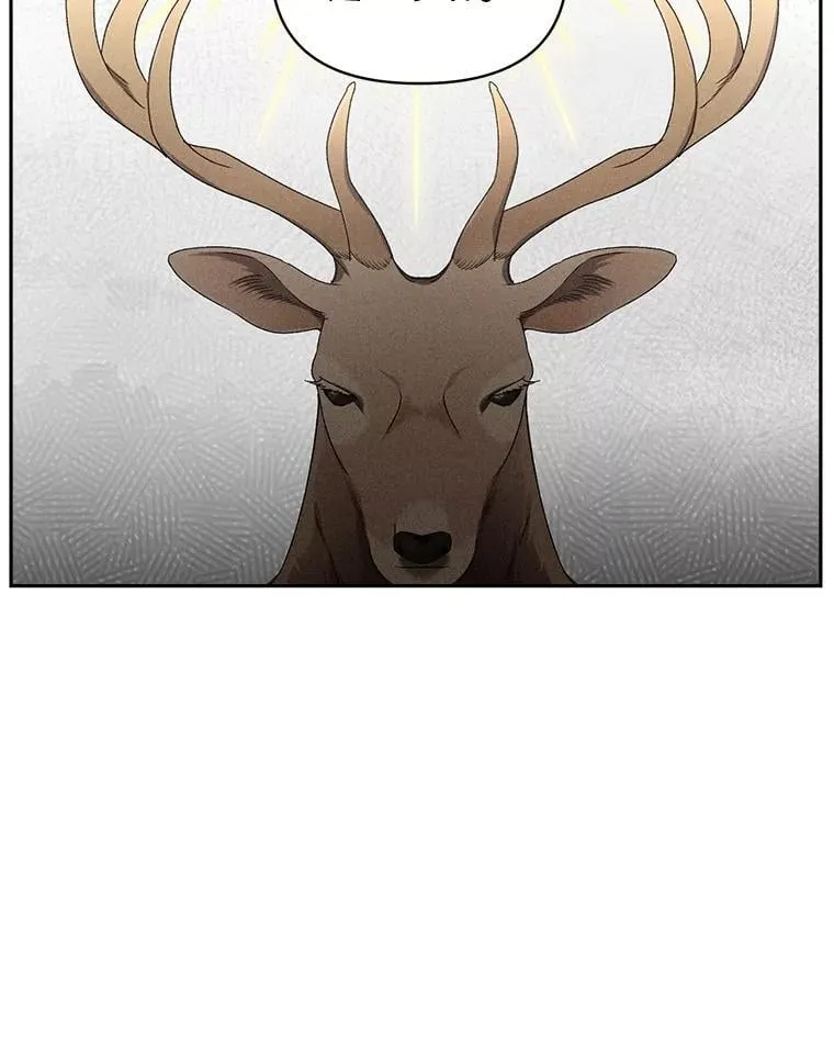 146.过往云烟20