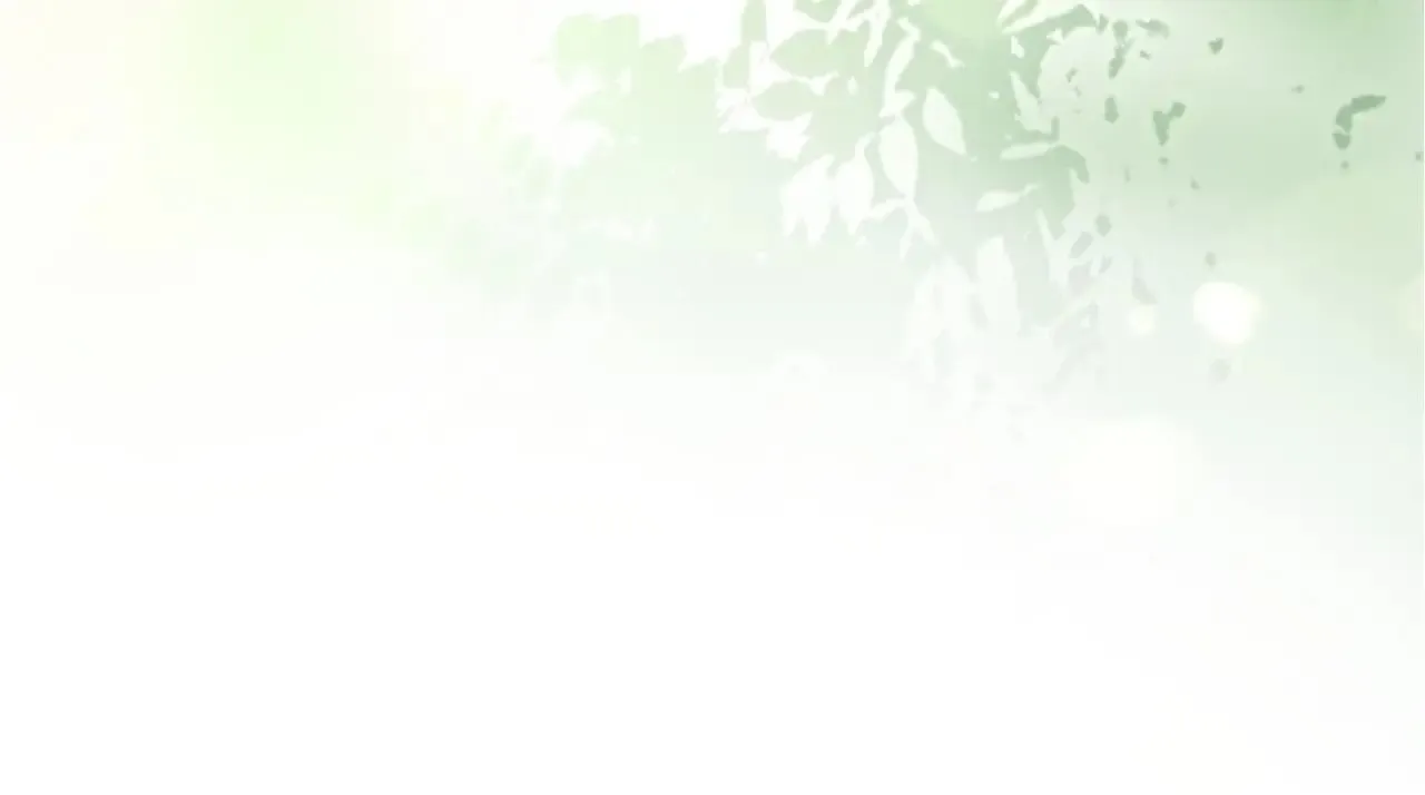 330 给司总上二锅头14