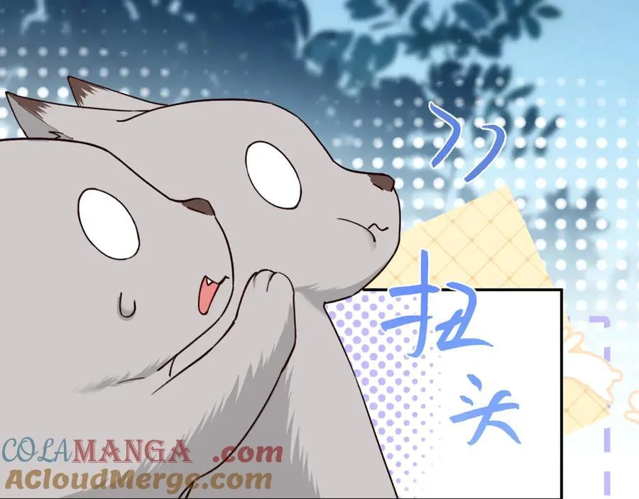 幼儿园日记中秋篇0718