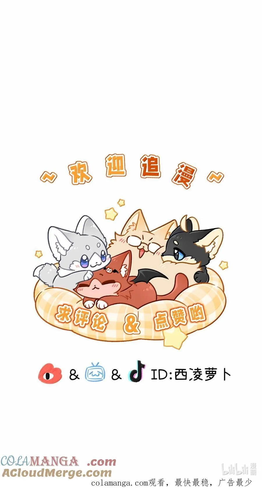 196 评估结果48