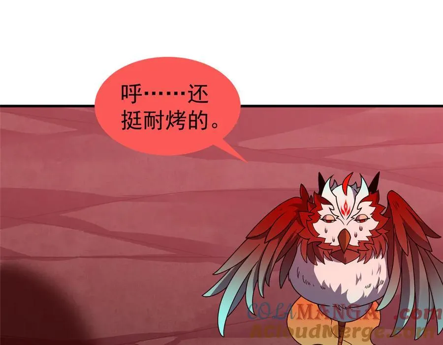 347 这鸟太凶残40