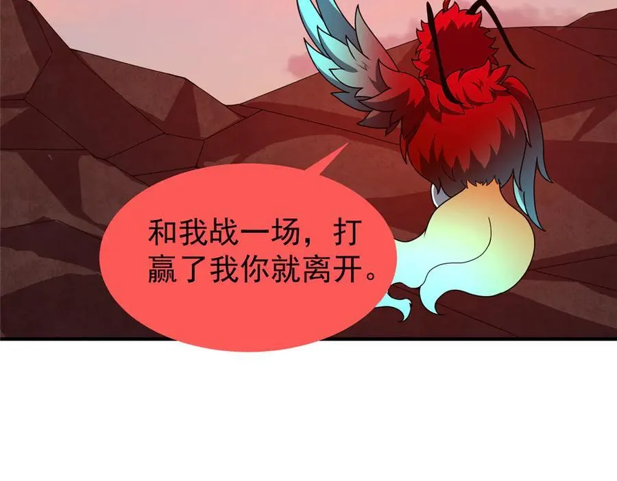 347 这鸟太凶残11
