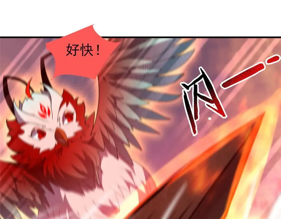 347 这鸟太凶残90
