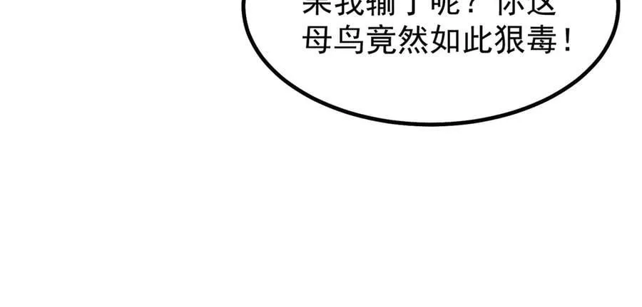 347 这鸟太凶残14