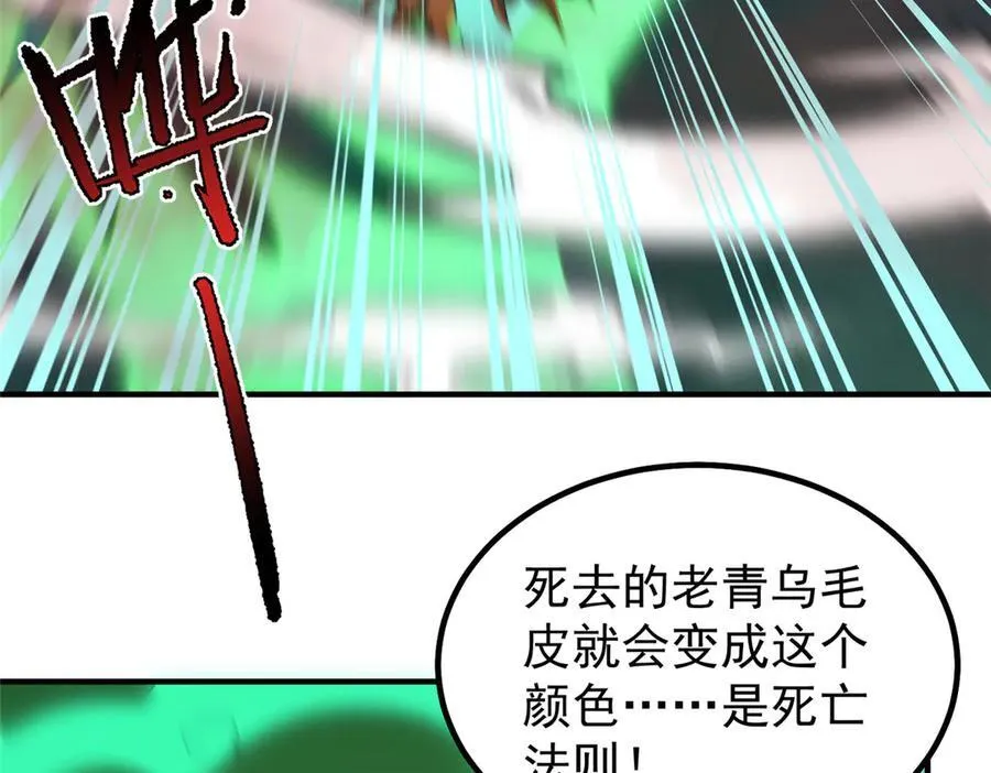 343 永恒青乌42