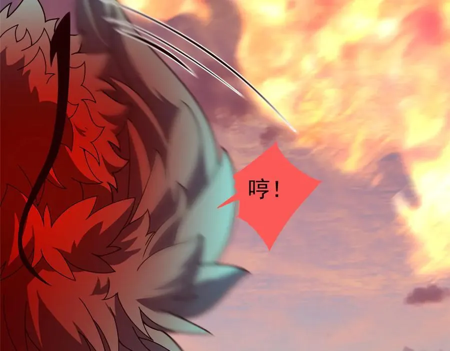 347 这鸟太凶残35