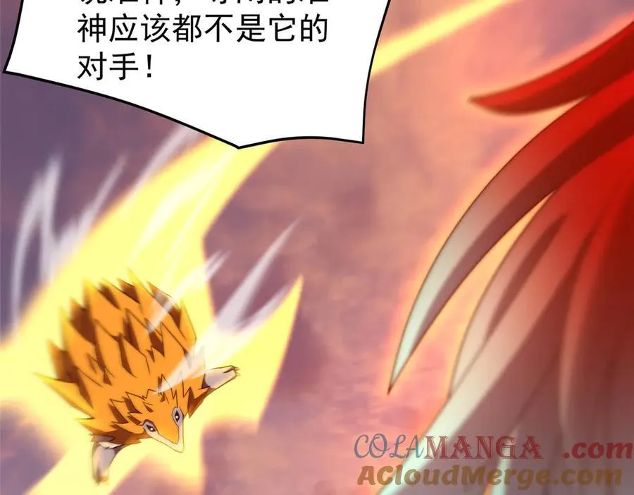 347 这鸟太凶残24