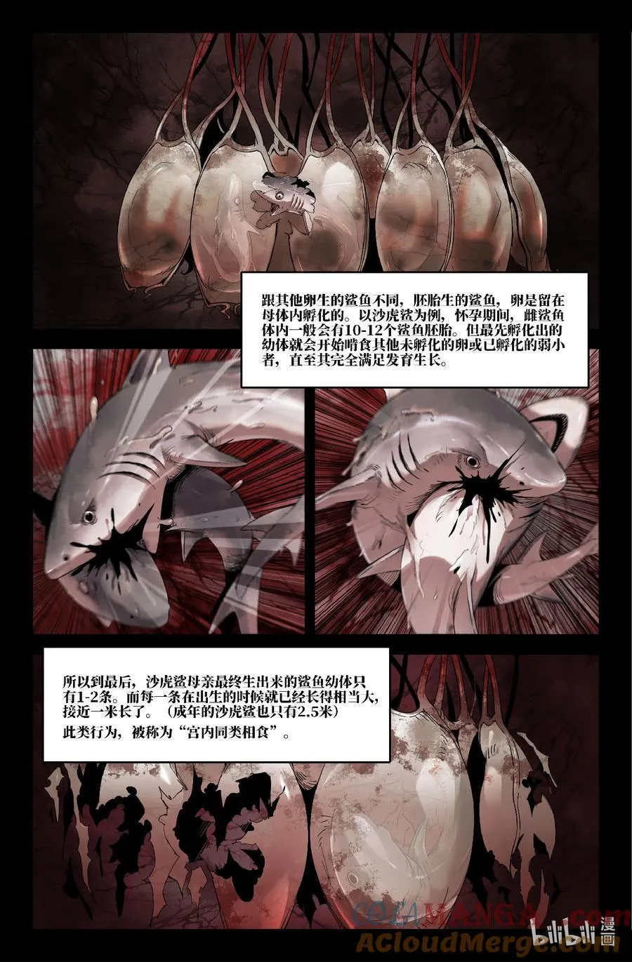 352 世界赛番外526