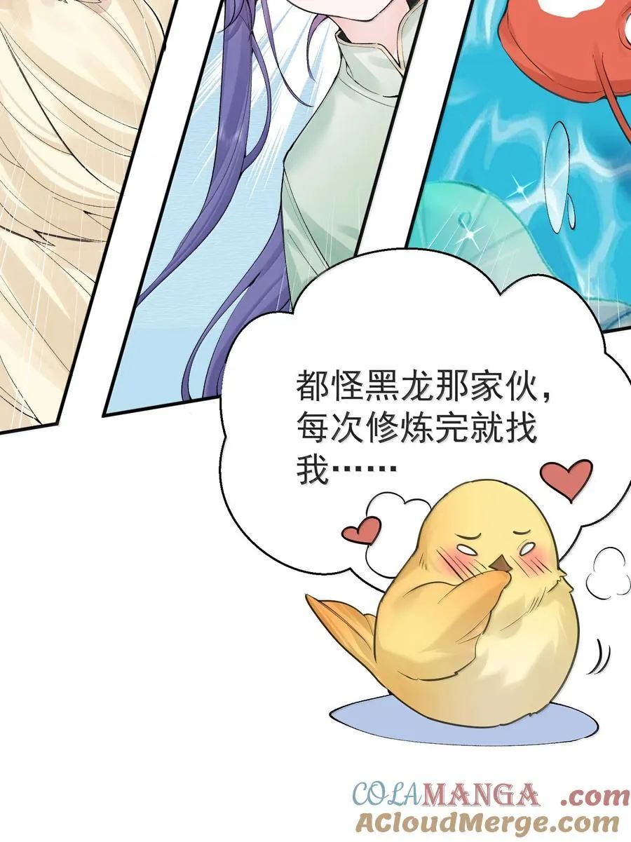 288 小黑黑要当爸爸了24