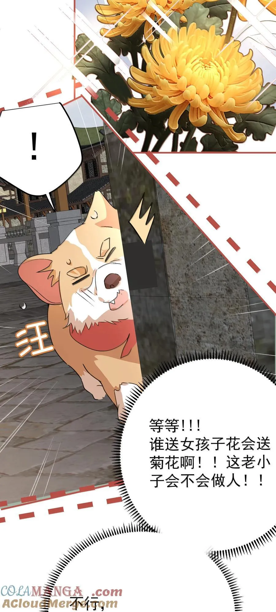 303 相亲20