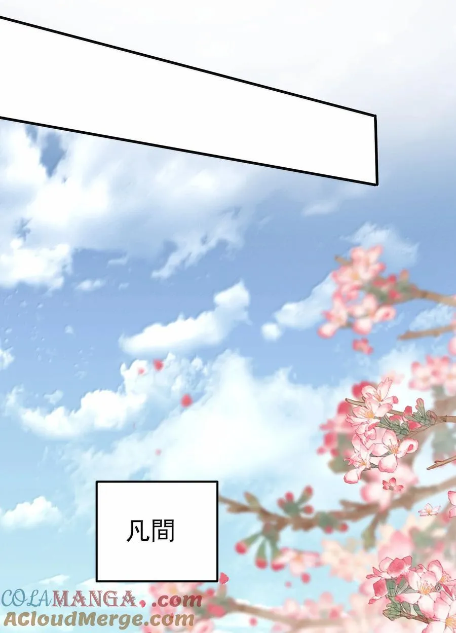 300 新能力24