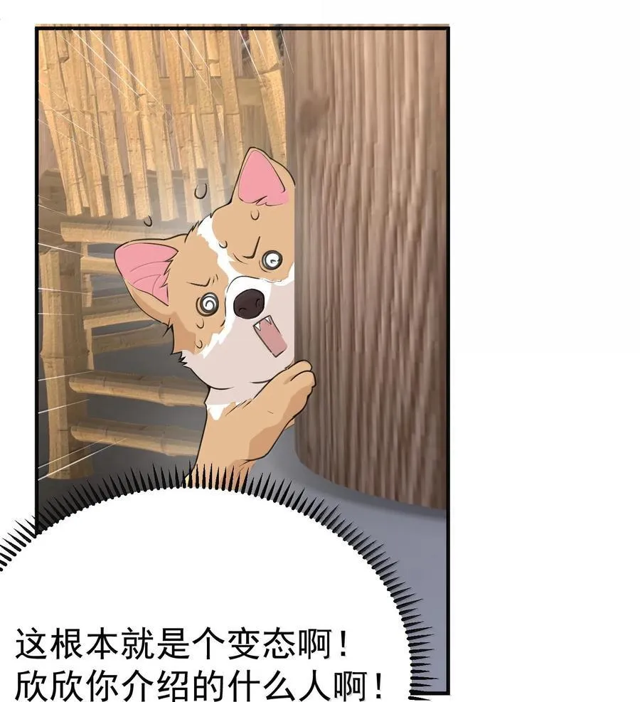 304 你简直是无赖35
