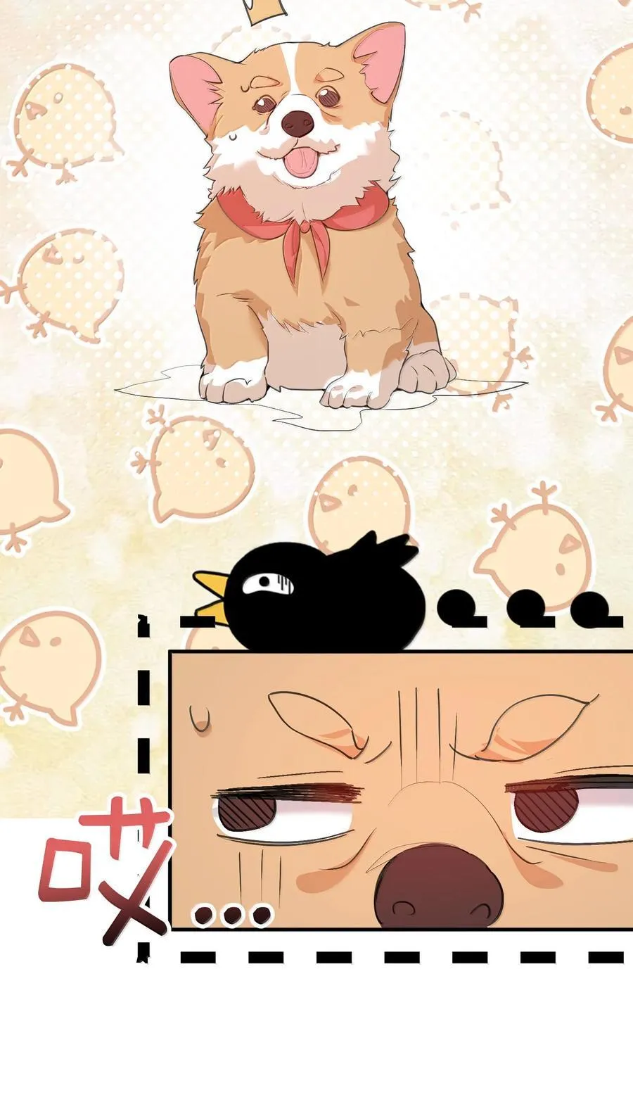 303 相亲13